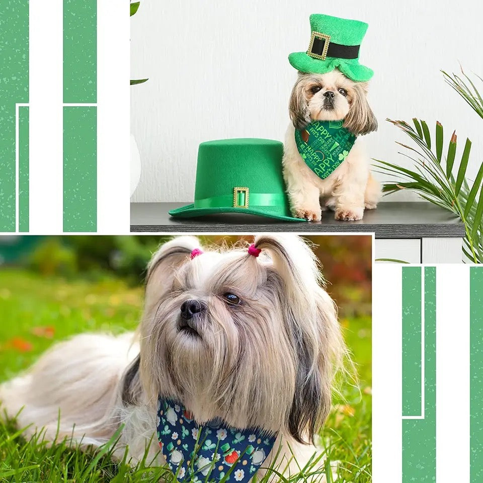Saint Patrick’s Day Bandana