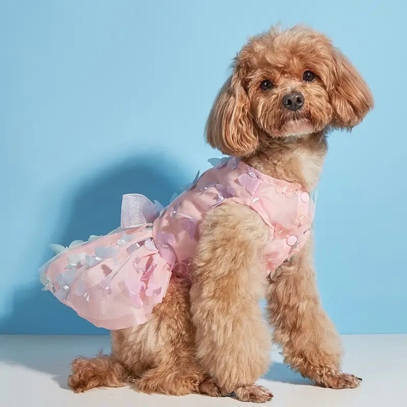 dog party wear dress Stylish Birthday Dresses for Dogs