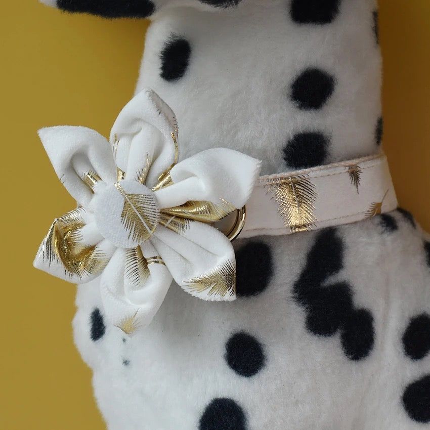 Customized Daisy Collar and Leash Set
