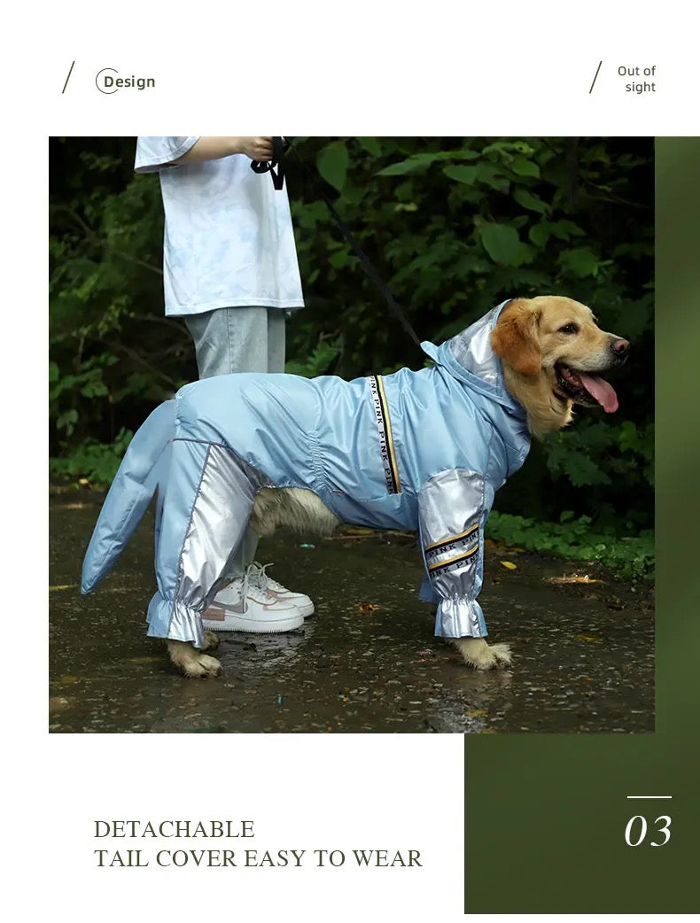 Winter Jacket