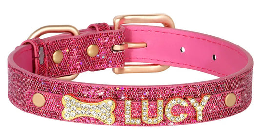 Personalized Dog Collar