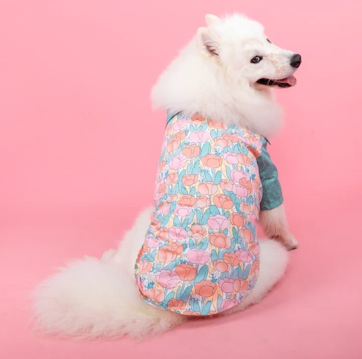 Petunia Dress/Shirt
