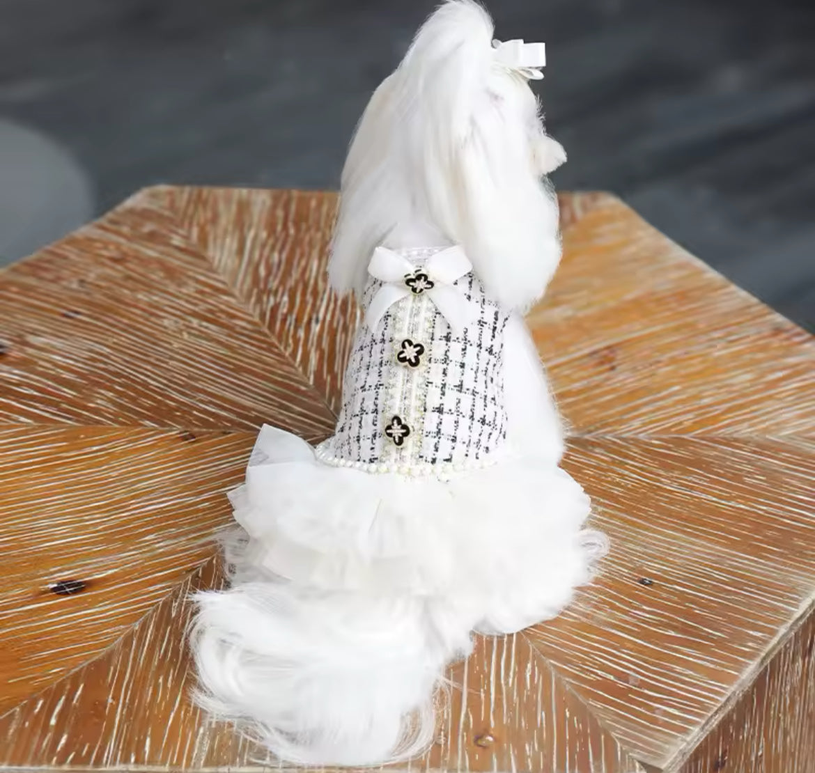 Coco Chewnel Dress