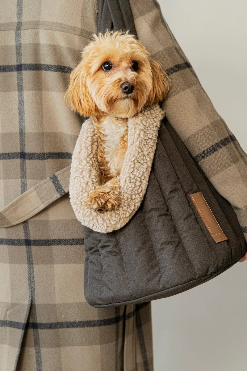 Bailey Pet Carrier