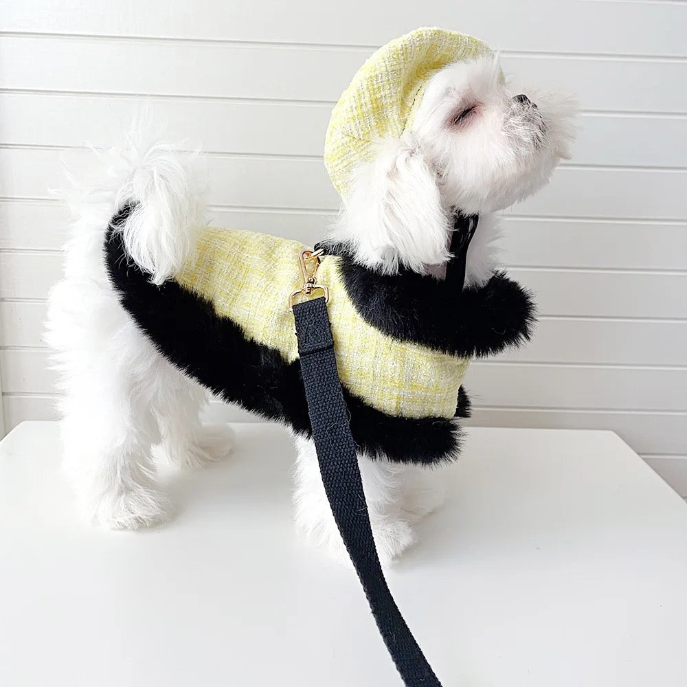 Bumble Bee Harness Set