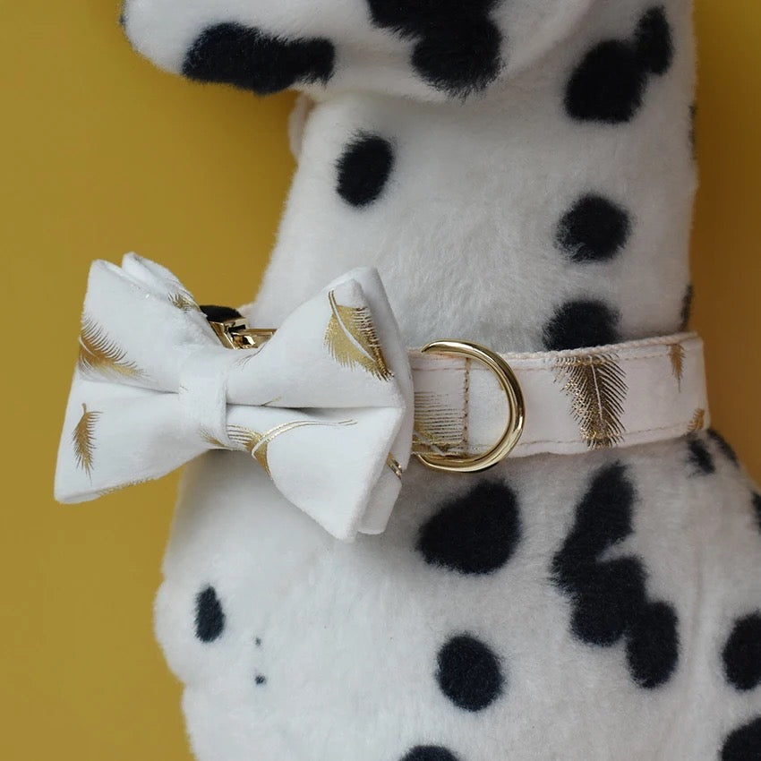 Customized Daisy Collar and Leash Set