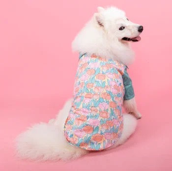 Petunia Dress/Shirt