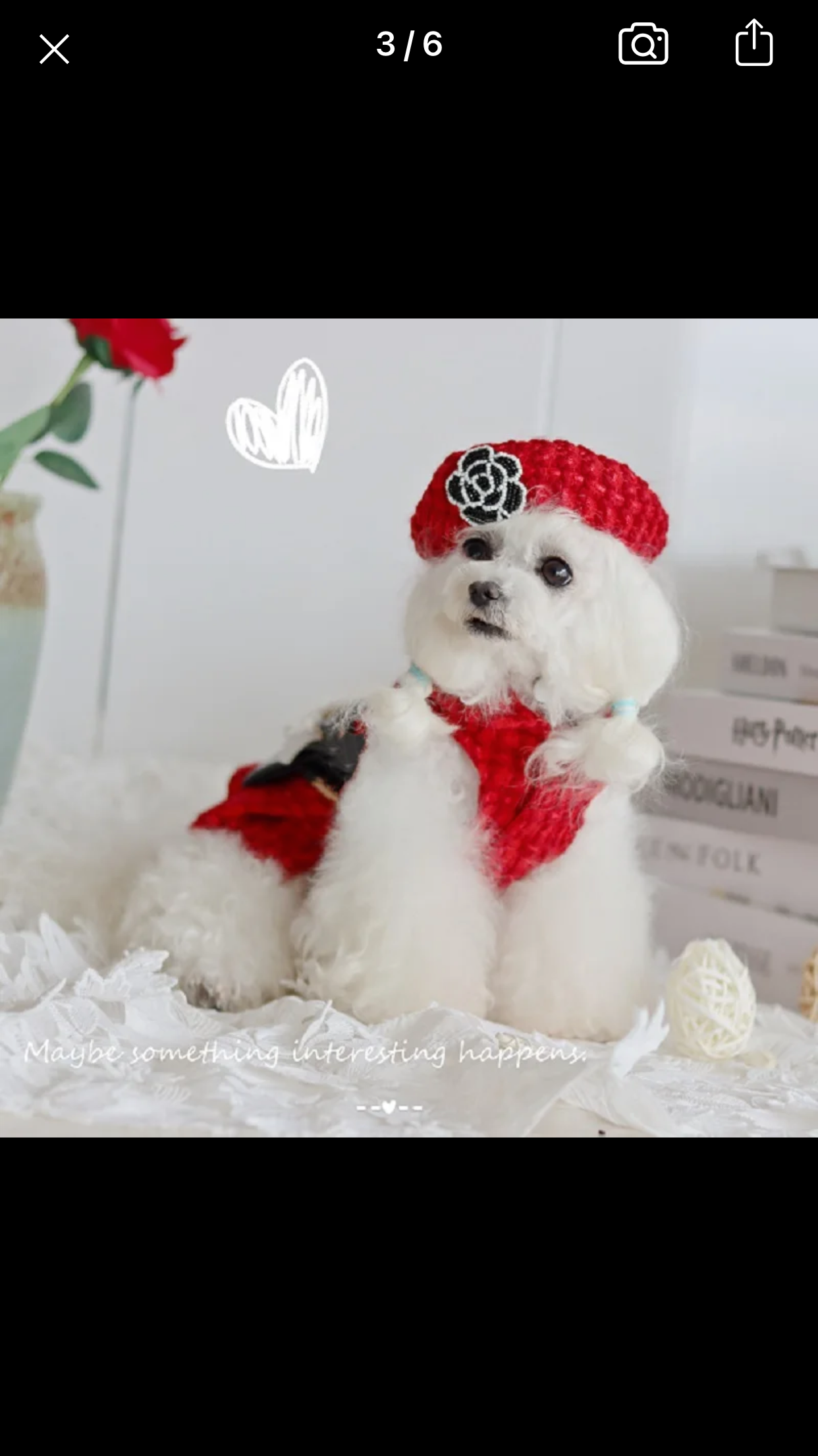 Coco Tweed Set