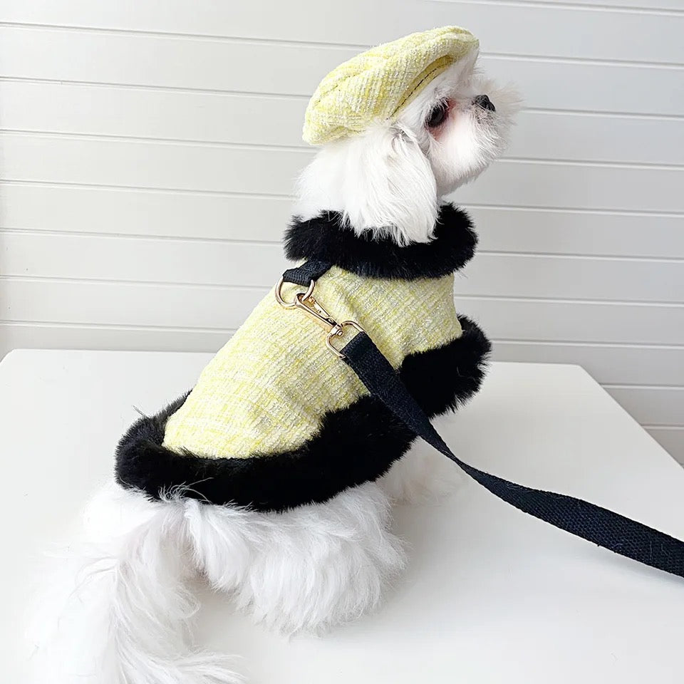 Bumble Bee Harness Set