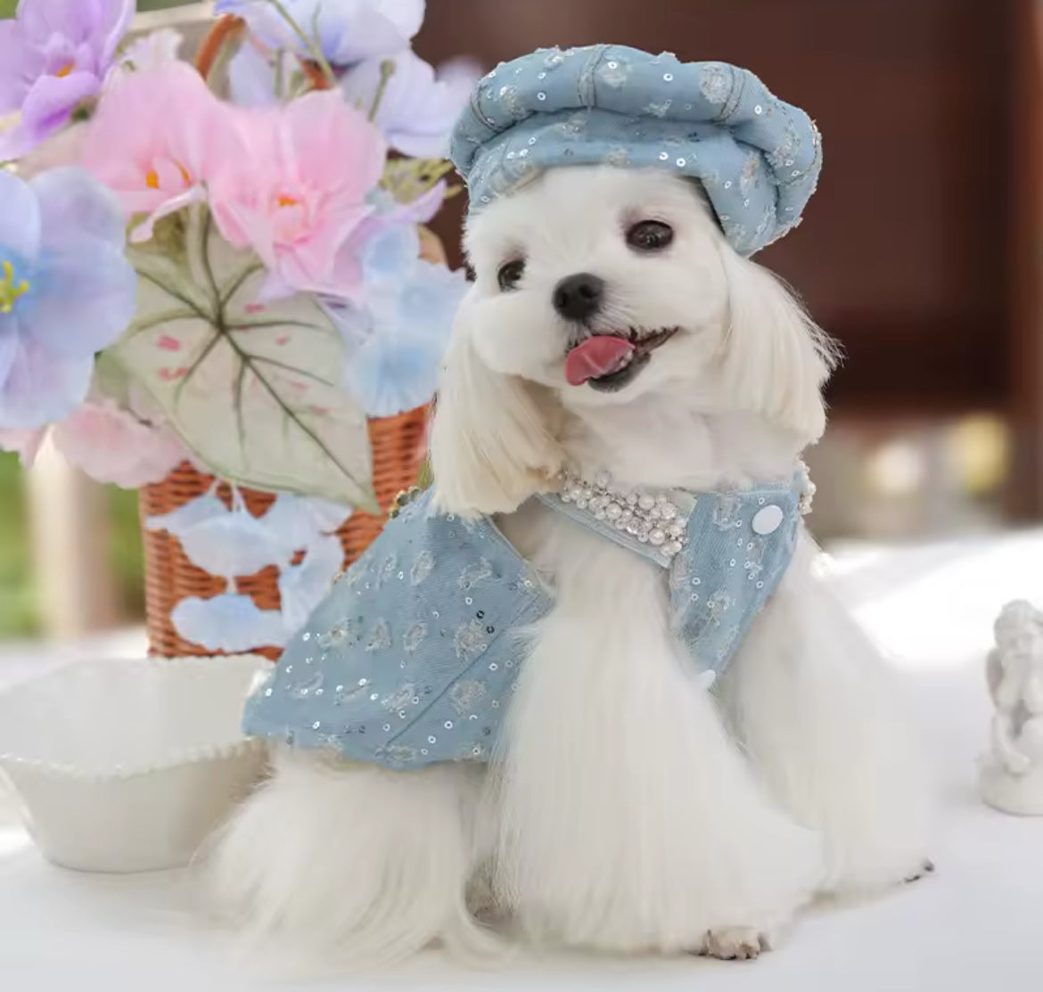Cindirella Dress & Hat Set – Luxury Fantasy Dog Outfit – Doggy Haute Couture Cindirella Dress & Hat Set – Luxury Fantasy Dog Outfit – Doggy Haute Couture