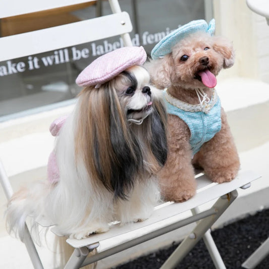 Tweed dog dress with bow