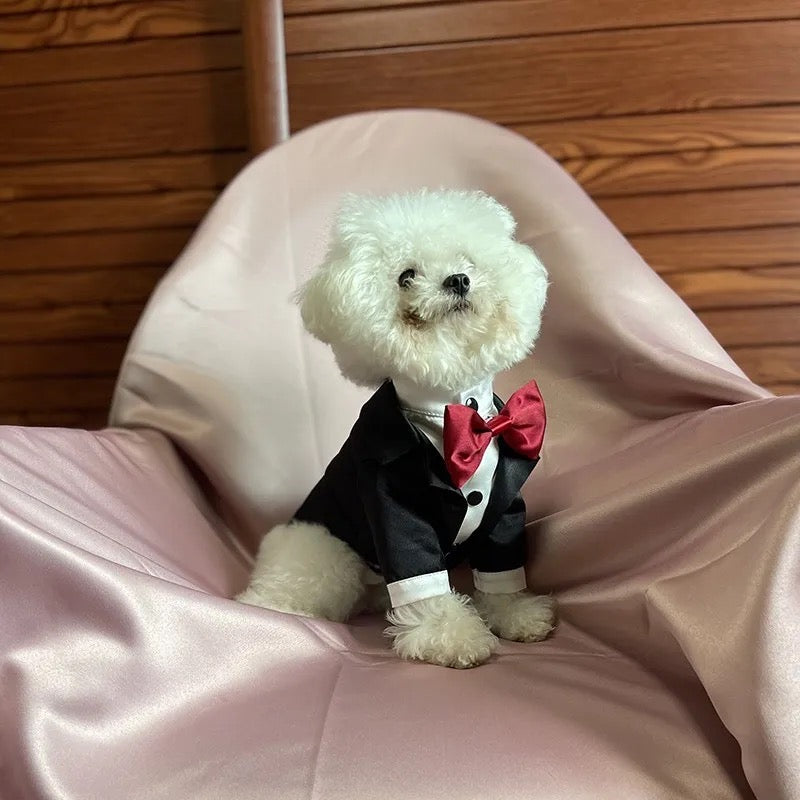 Spiffy Tuxedo Suit