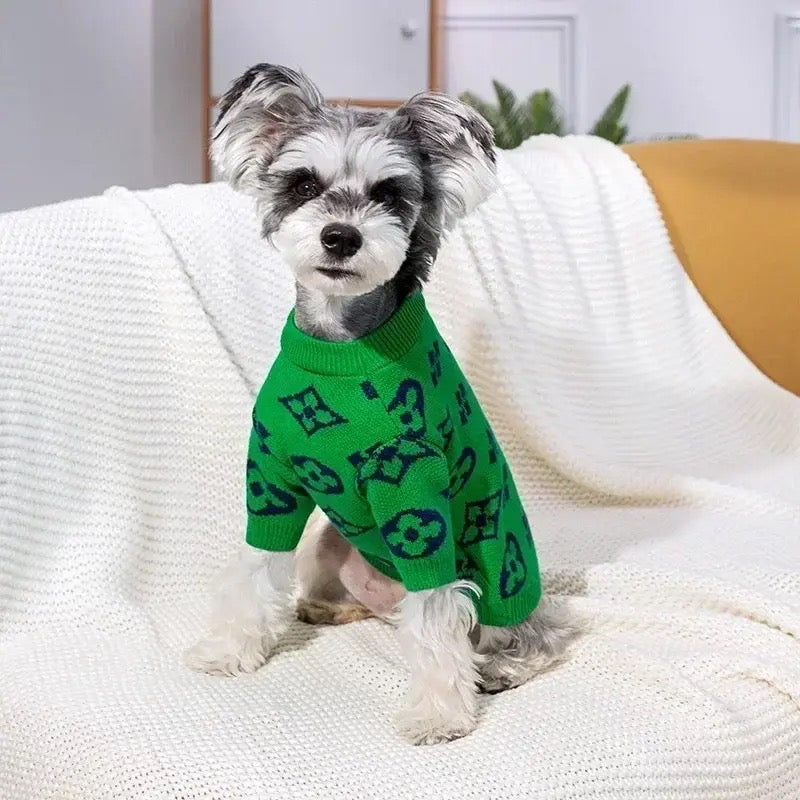 Dog best sale sweater chewy