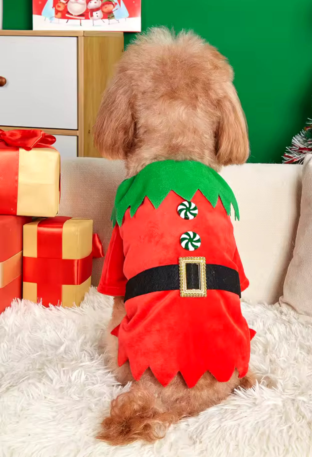 Elf Christmas Outfit Festive Holiday Costume for Dogs Doggy Haute Couture Elf Christmas Outfit Festive Holiday Costume for Dogs Doggy Haute Couture