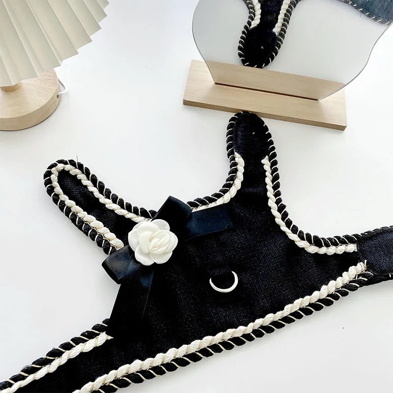 Coco Chewnel Harness Set