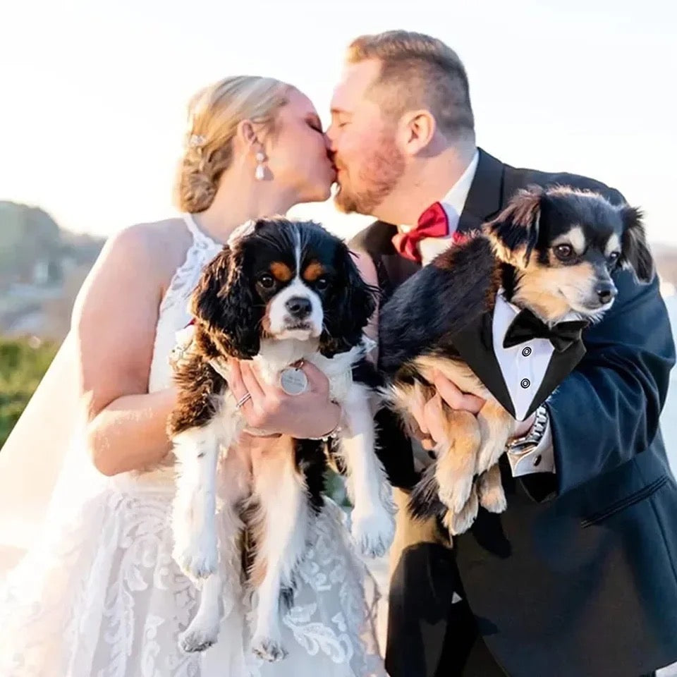 Best Man Collar