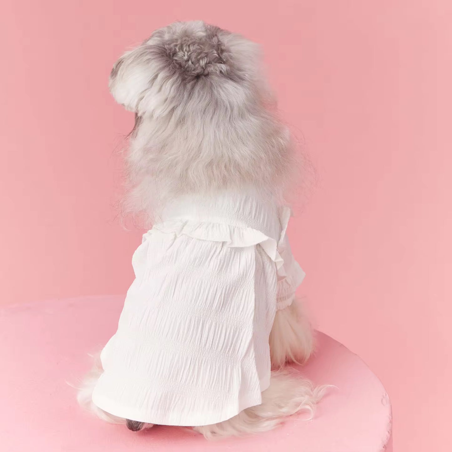 Alice Blouse