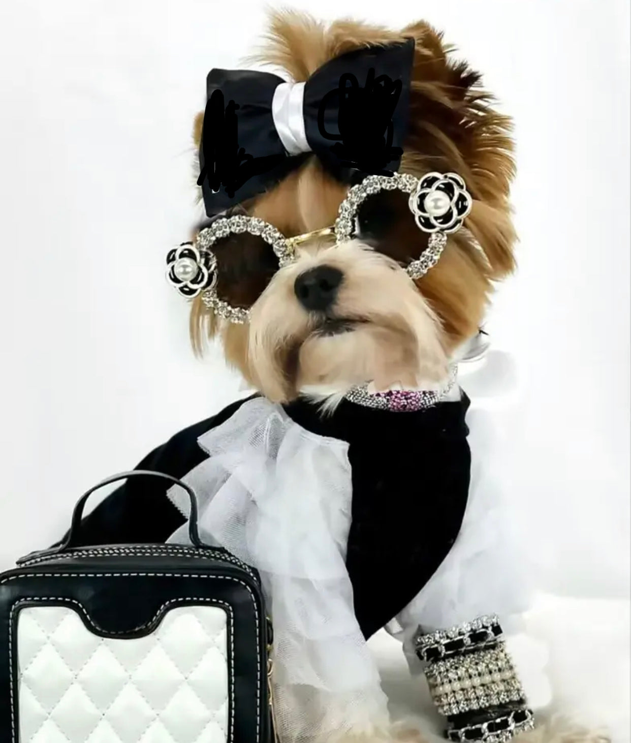 Coco Sunglasses