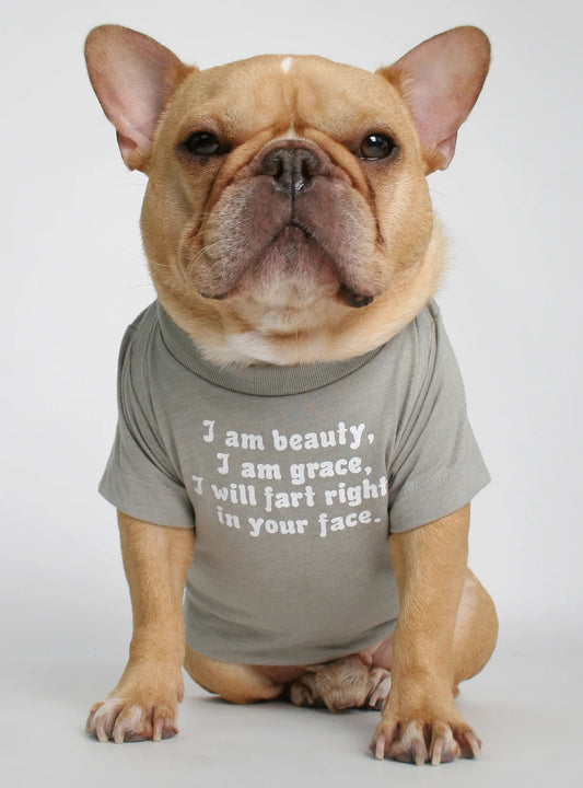 I Am Beauty I Am Grace I Will Fart Right In Your Face Tee - Grey