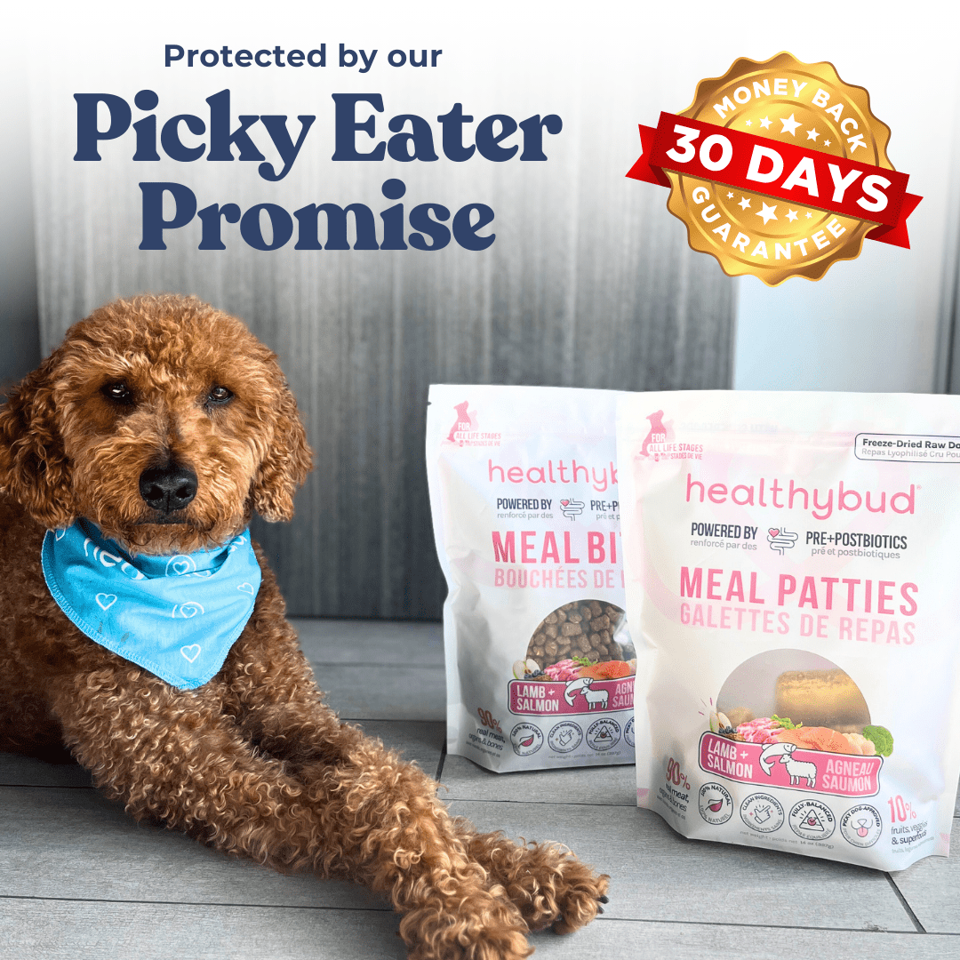 Lamb + Salmon Meal Bites