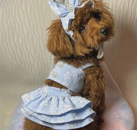 Why Designer Dog Apparel Is More Than Just Cute—It’s Practical Too!