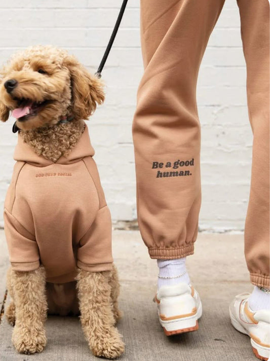Top 10 Luxury Dog Fashion Trends for 2025