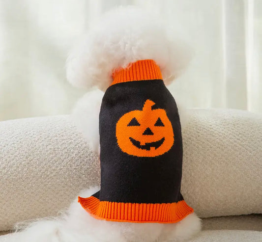 Pumpkin Sweater Halloween Costume