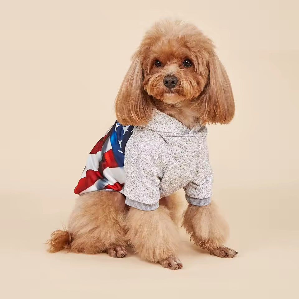 USA Fourth of July Hoodie