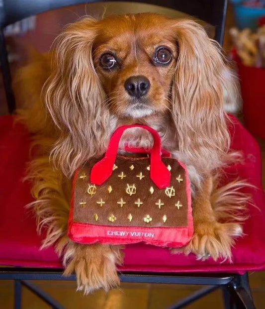 Chewy Pawtton Toy