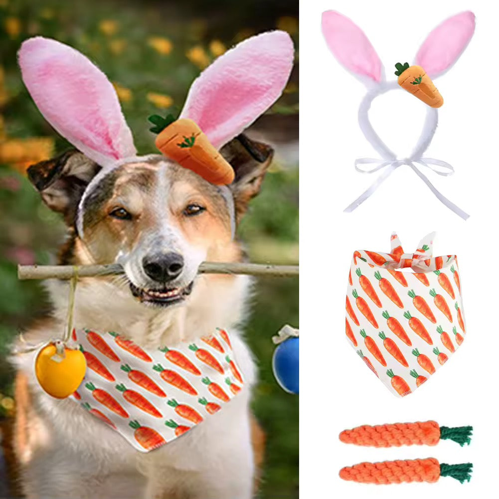 Easter Bunny Set - Carrot