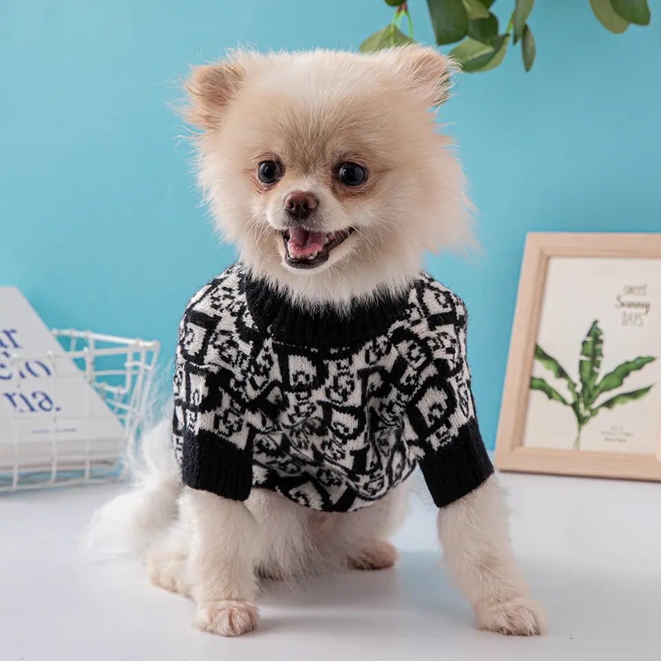 Orders couture dog dresses