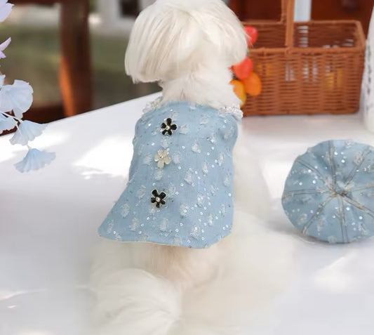 Cindirella Dress
