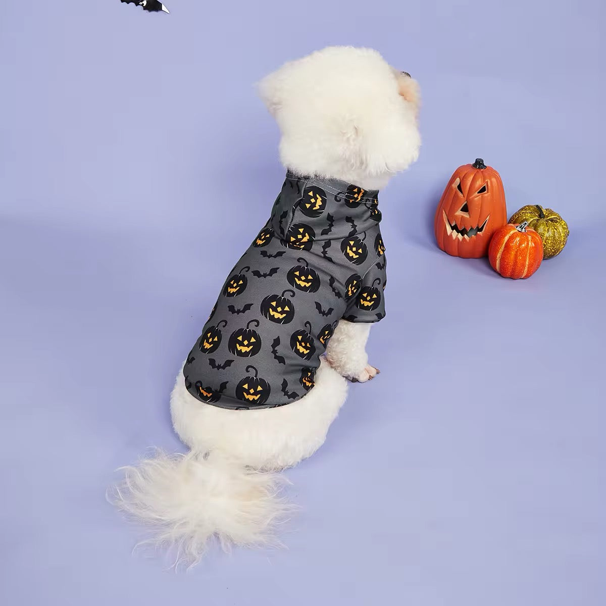 Halloween Pumpkin Hoodie