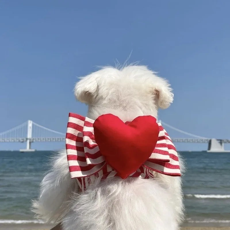 Valentine Harness