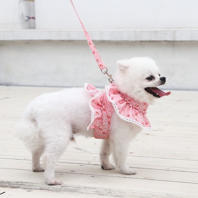 Pink Floral Leash and Harness Set