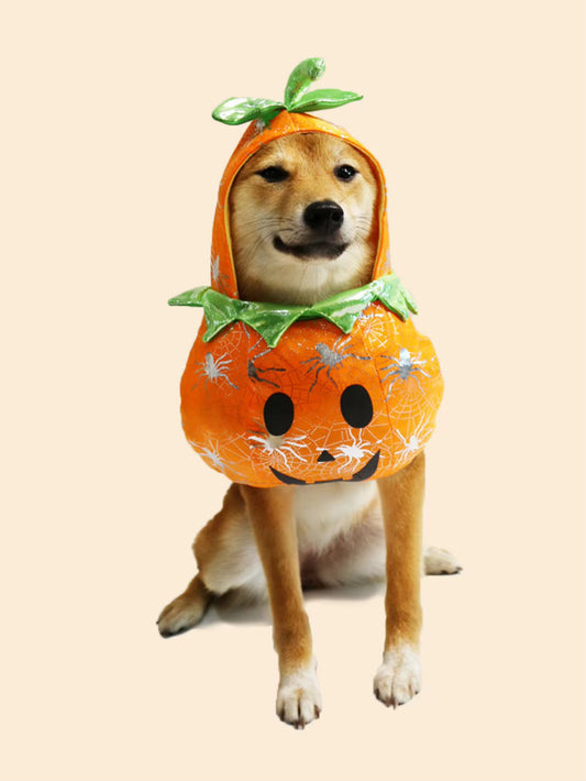 Pumpkin Halloween Costume