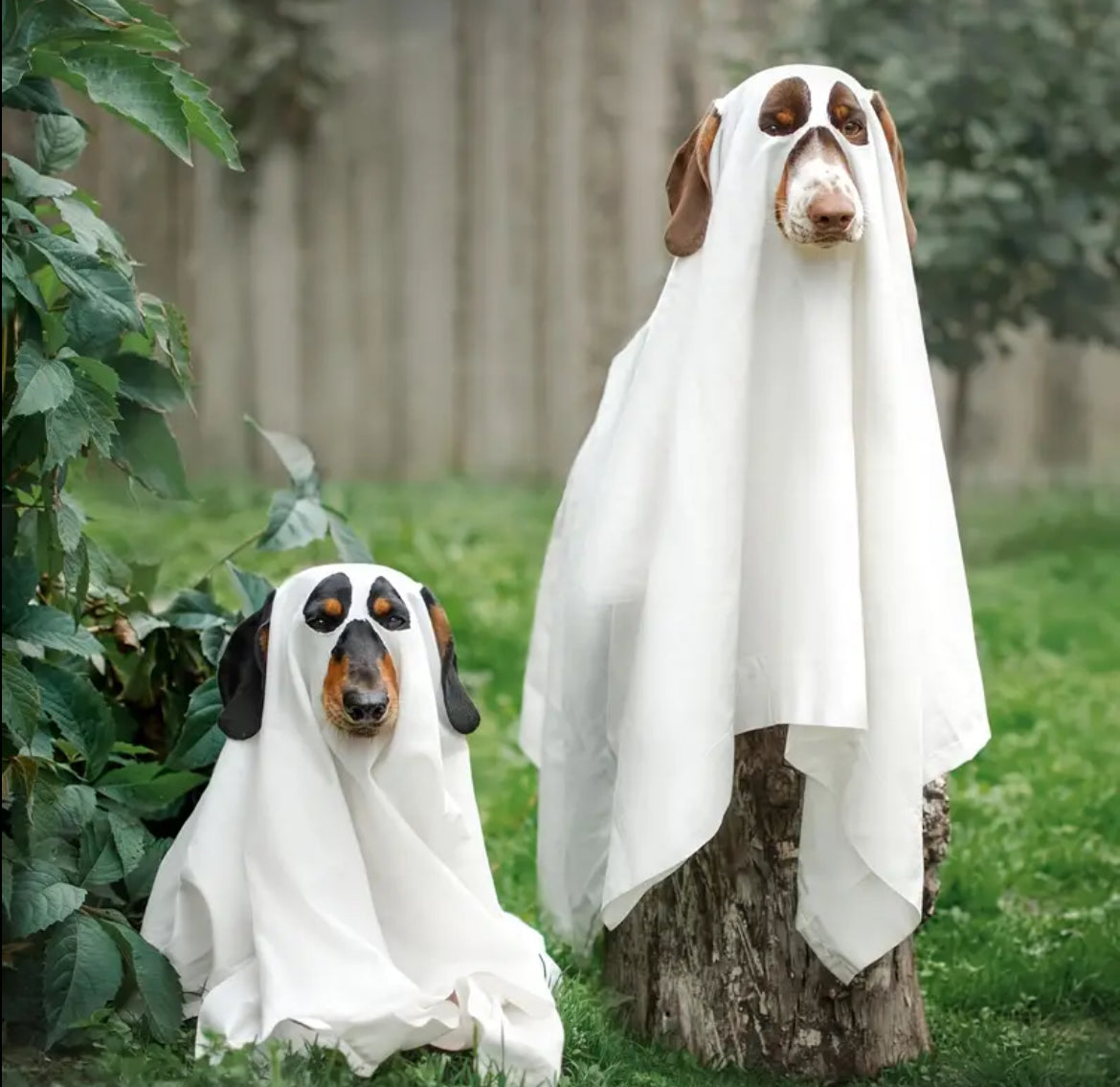 Ghost Halloween Costume