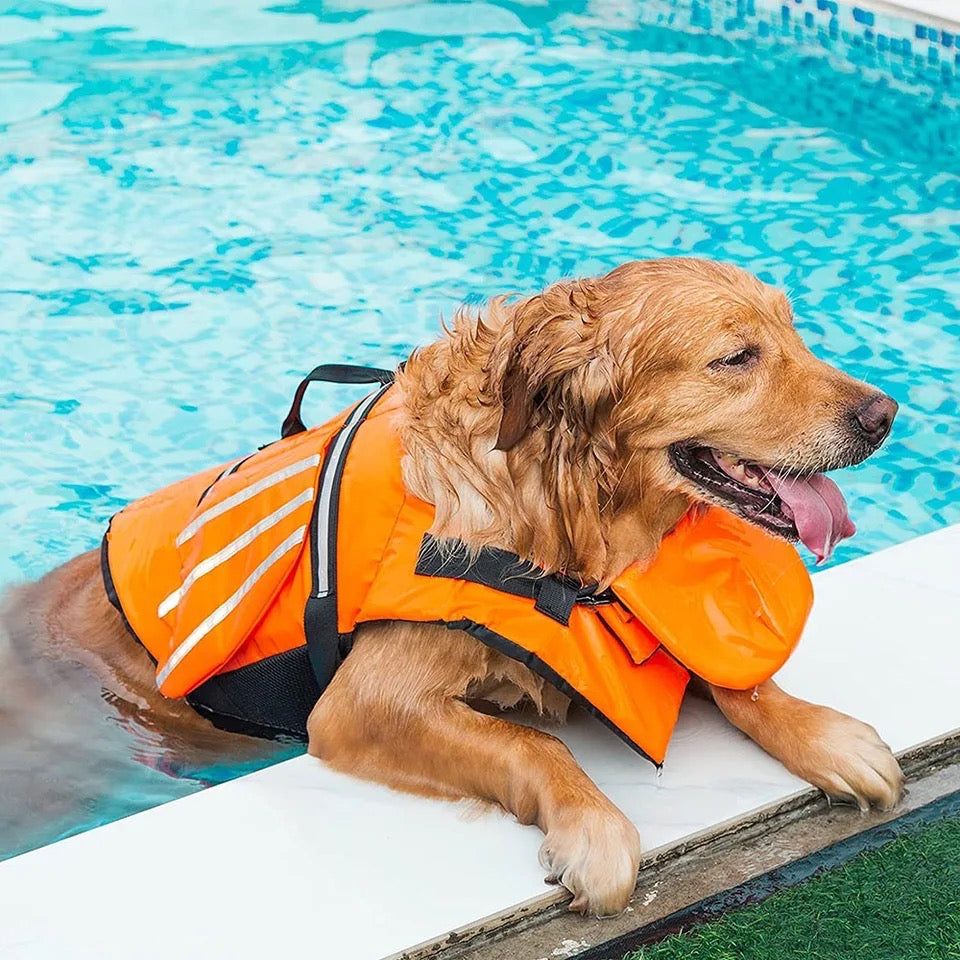 Memo Fish LifeJacket