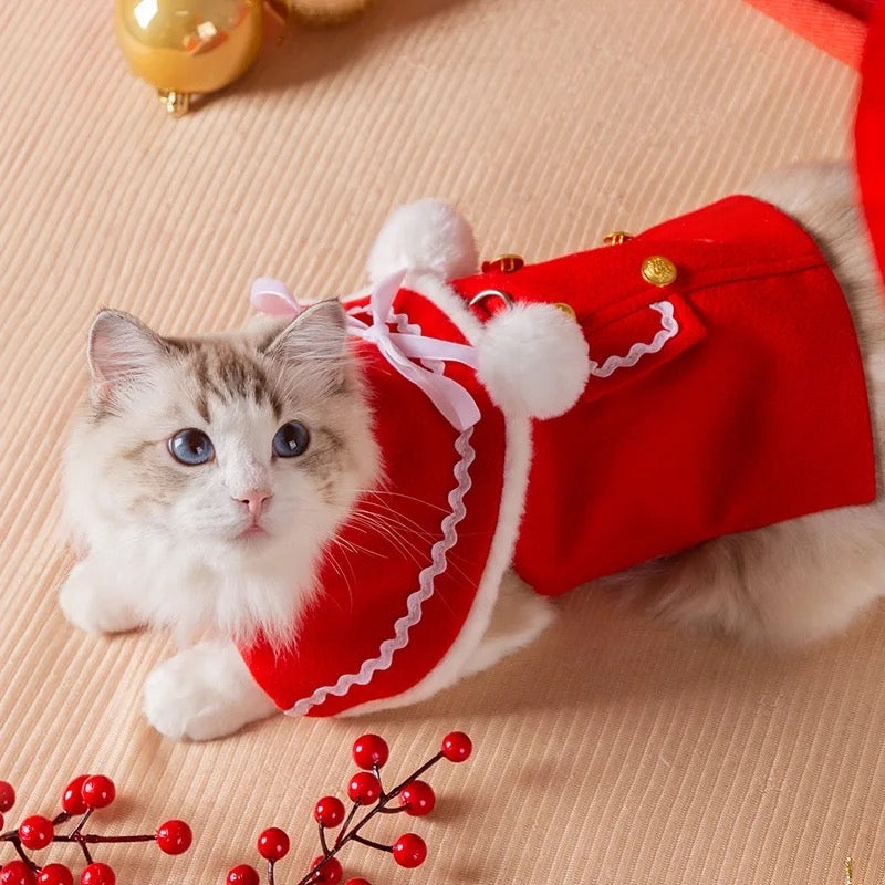 Mrs Claus Fancy Coat