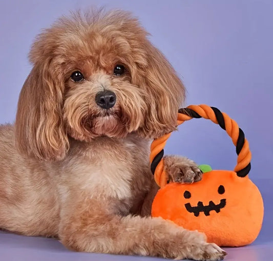 Halloween Pumpkin Toy