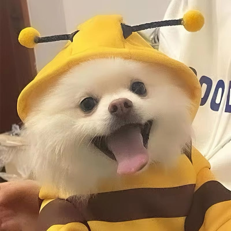 Bumble Bee Halloween Costume