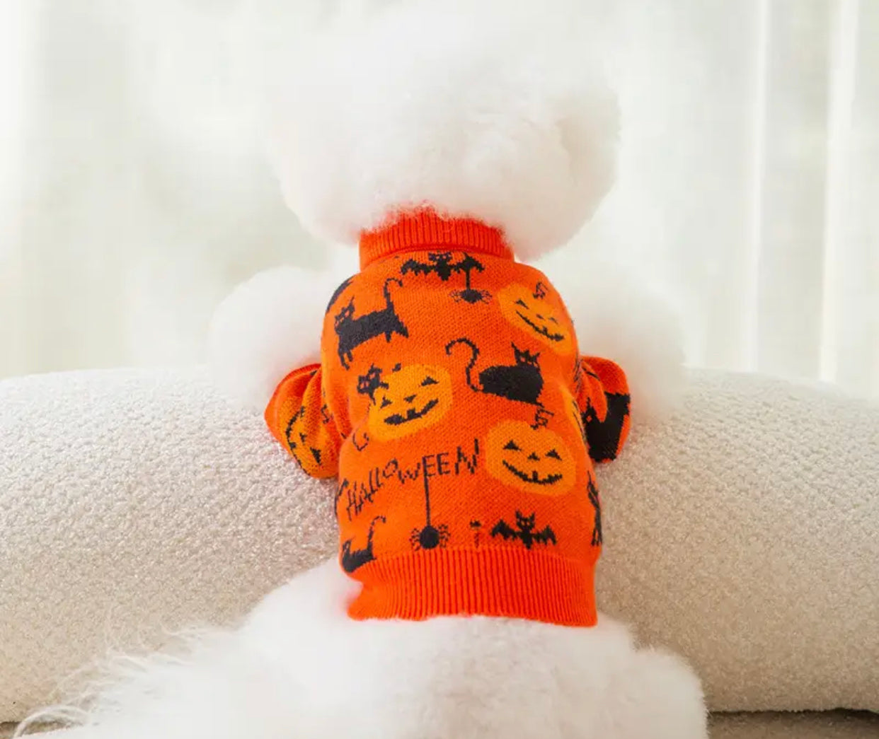 Pumpkin Bat Sweater Halloween Costume