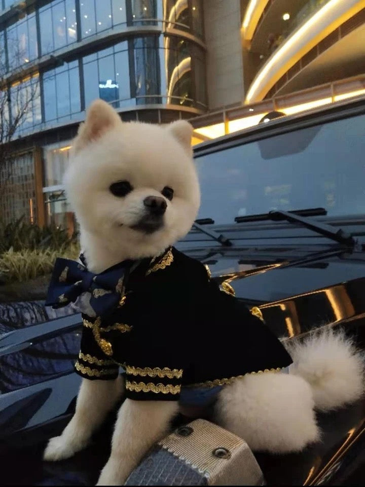 Captain Dog Suit