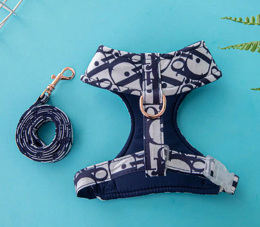 Diorella Harness and Leash Set