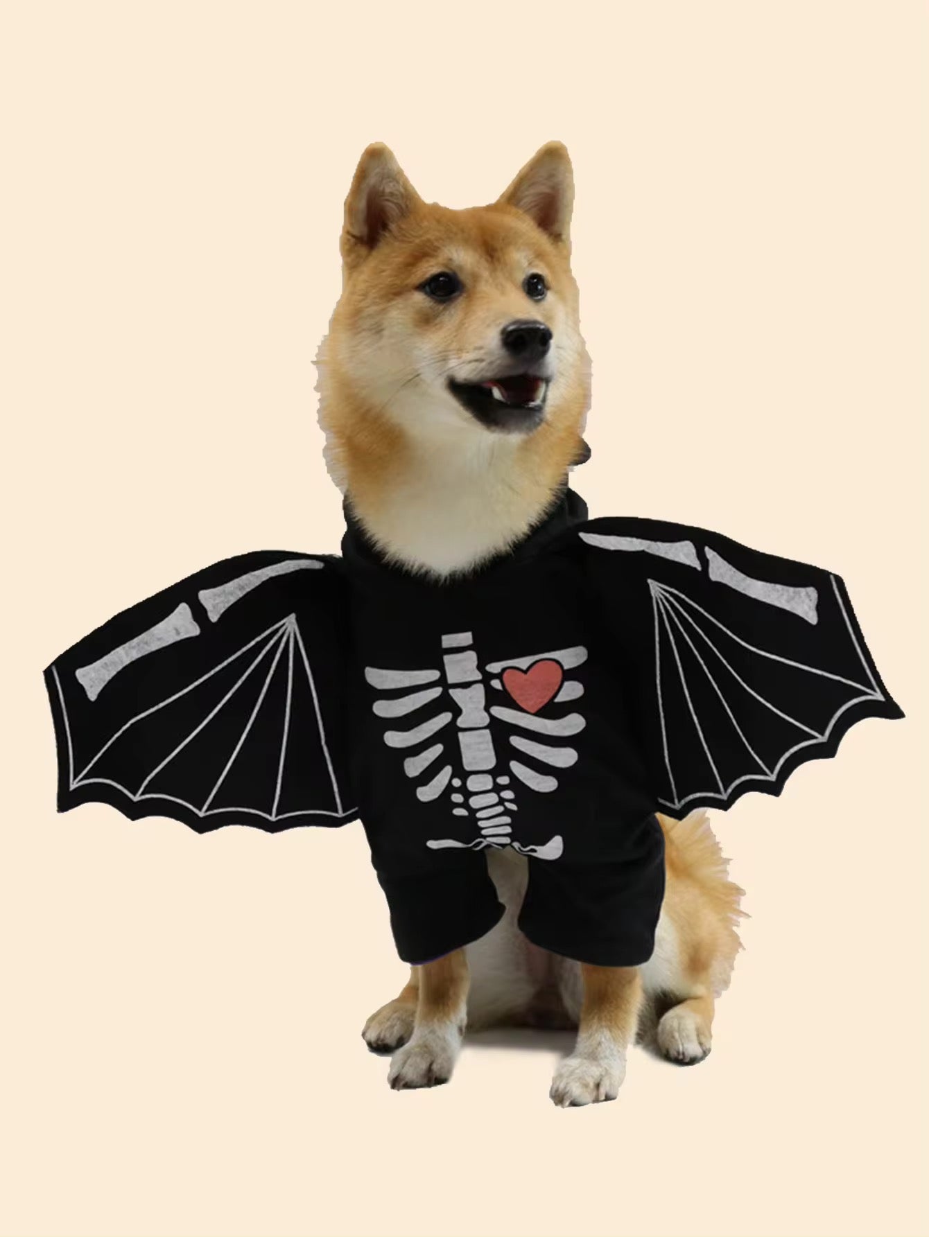 BatDog Halloween Costume