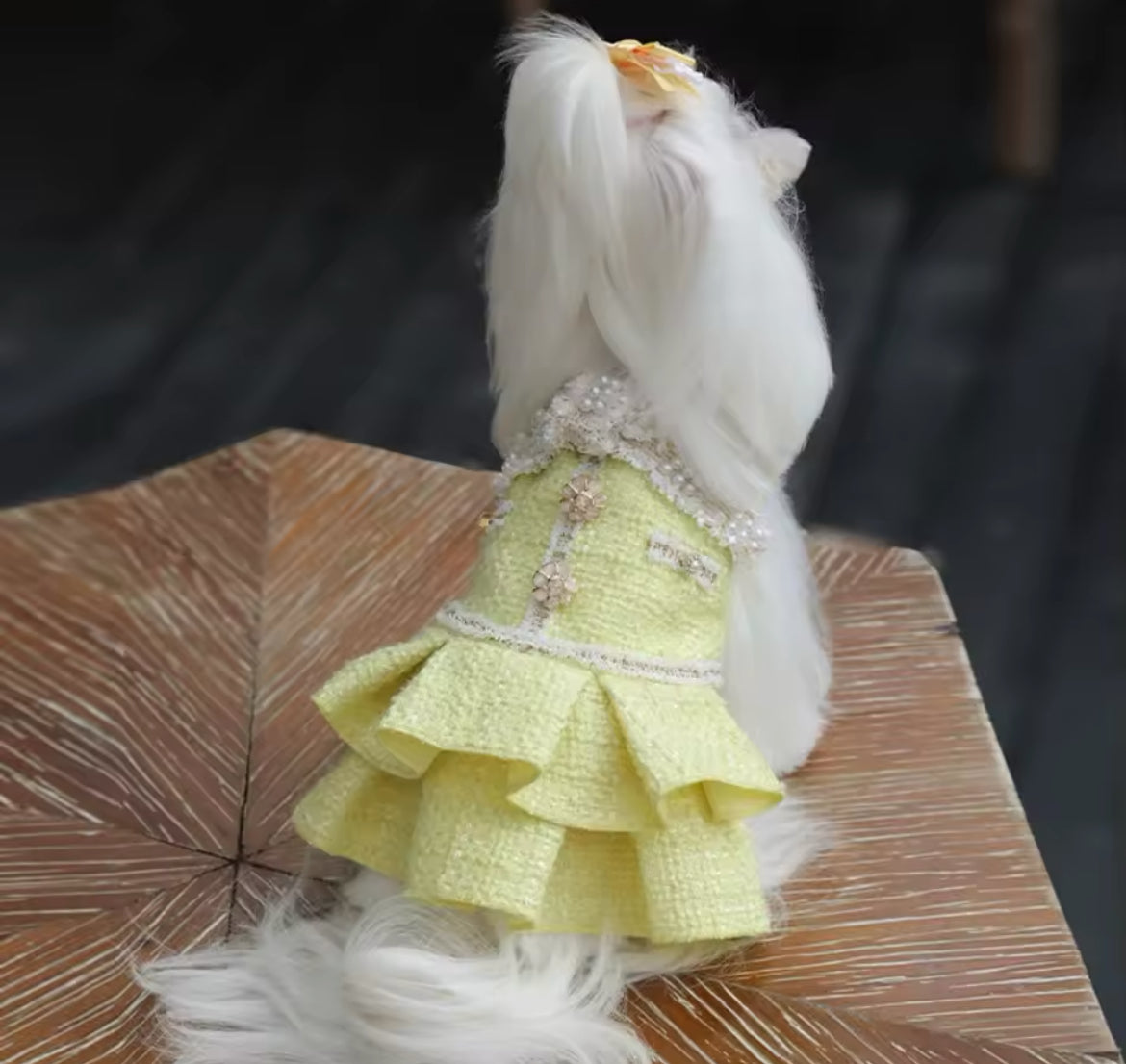 Daisy Love Dress