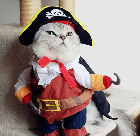 Pirate Costume