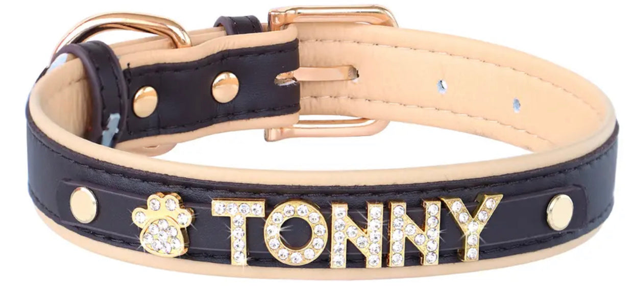 Personalized Dog Collar