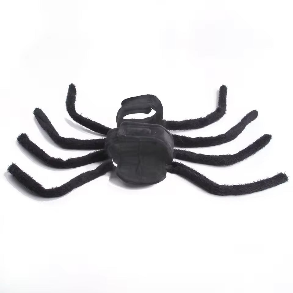 Spider Dog Halloween Collection