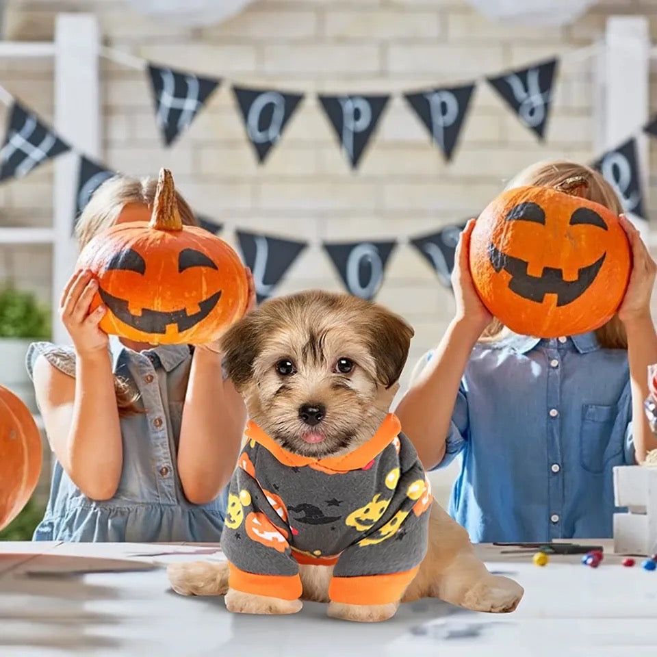 Halloween Sweater